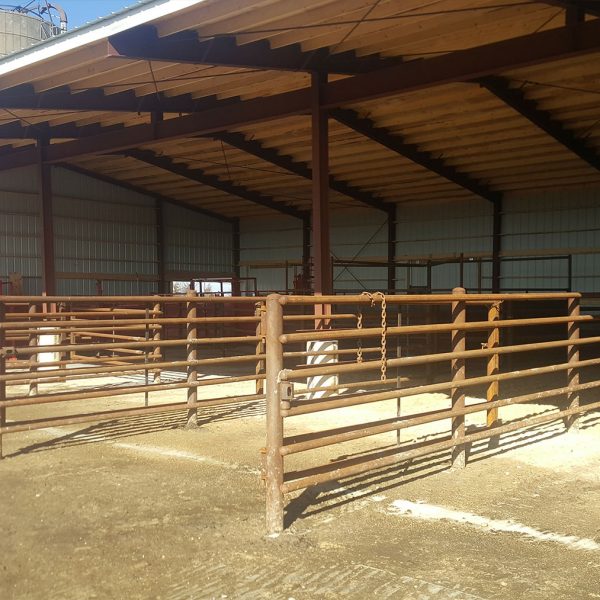 Cattle Handling Facilities – Midwest Beef Systems